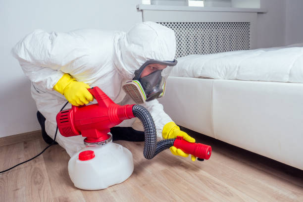 Best Bed Bug Extermination  in Mullens, WV