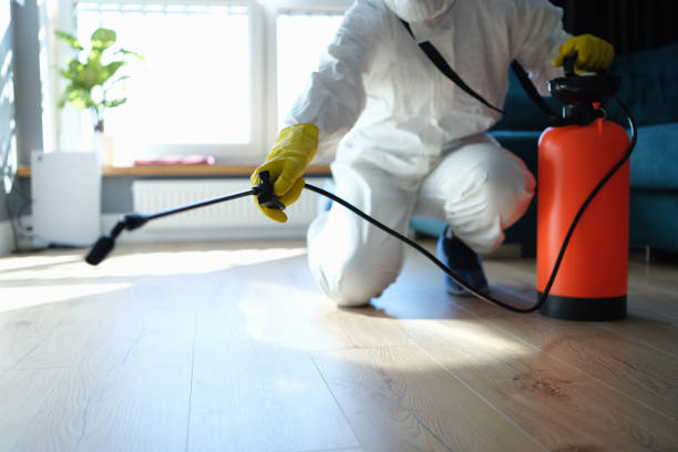 Best Affordable Pest Control Services  in Mullens, WV