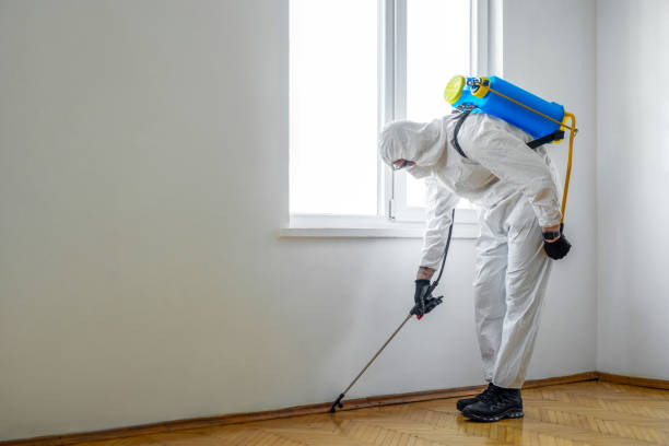 Best Cockroach Control Services  in Mullens, WV