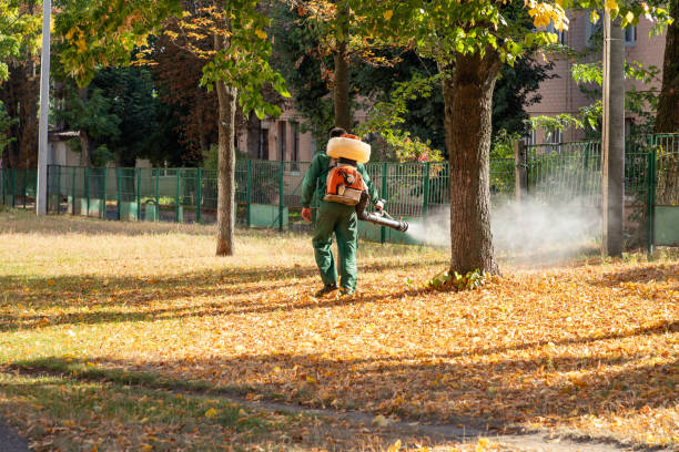 Best Flea Control Services  in Mullens, WV