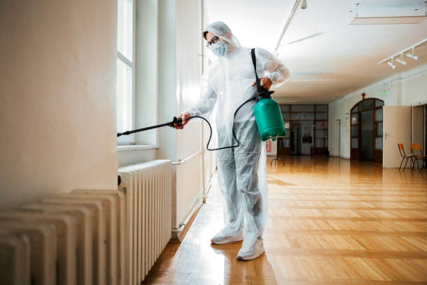 Best Emergency Pest Control  in Mullens, WV
