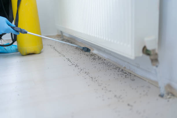 Best Residential Pest Control  in Mullens, WV