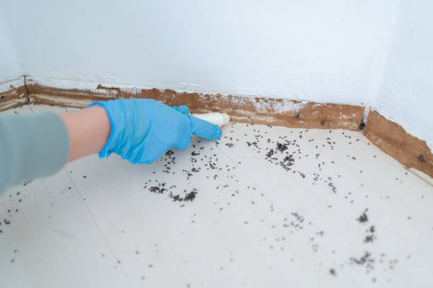 Best Commercial Pest Control Services  in Mullens, WV