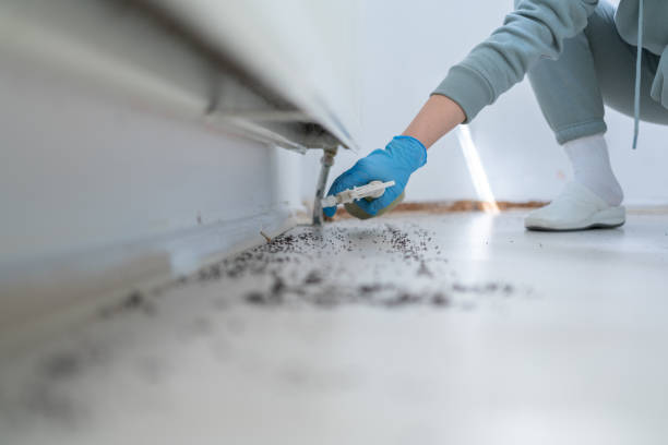 Best Pest Control Cost  in Mullens, WV
