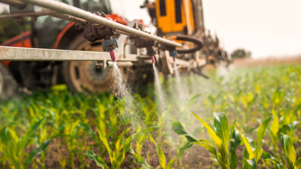 Best Best Pest Control Companies  in Mullens, WV